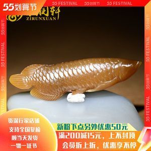 點金龍魚價格貴嗎：點金龍魚價格受到多種因素影響，