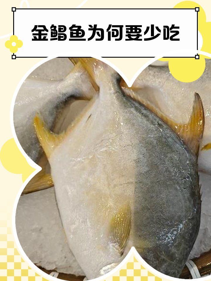 金鯧魚(yú)為何要盡量少吃