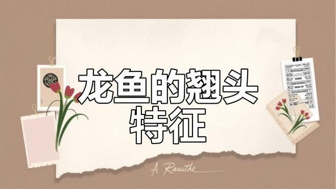銀龍魚翹嘴的好還是平嘴的好呢視頻