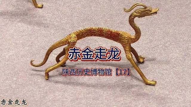 有哪些著名的金龍圖片