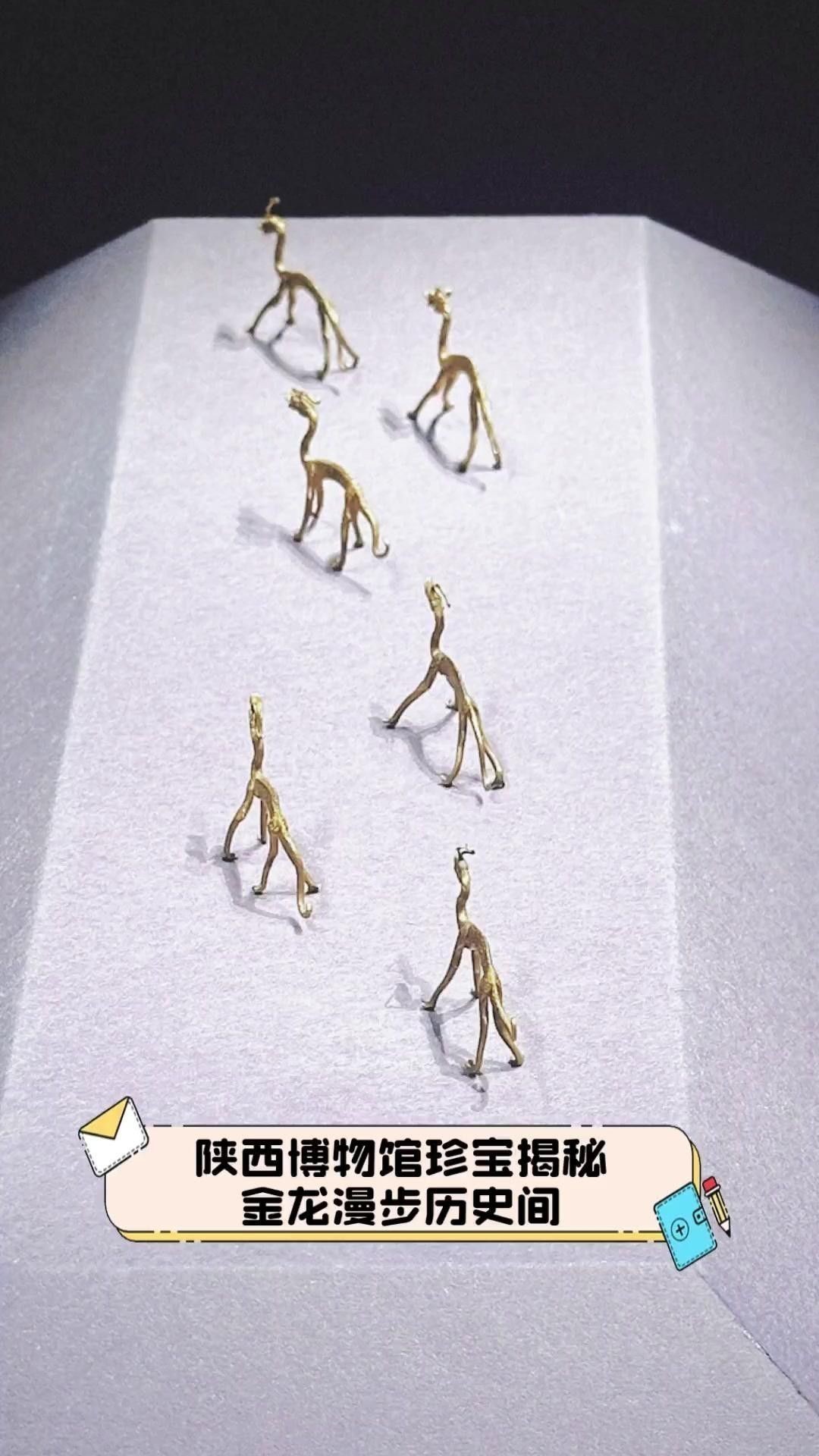 有哪些著名的金龍圖片