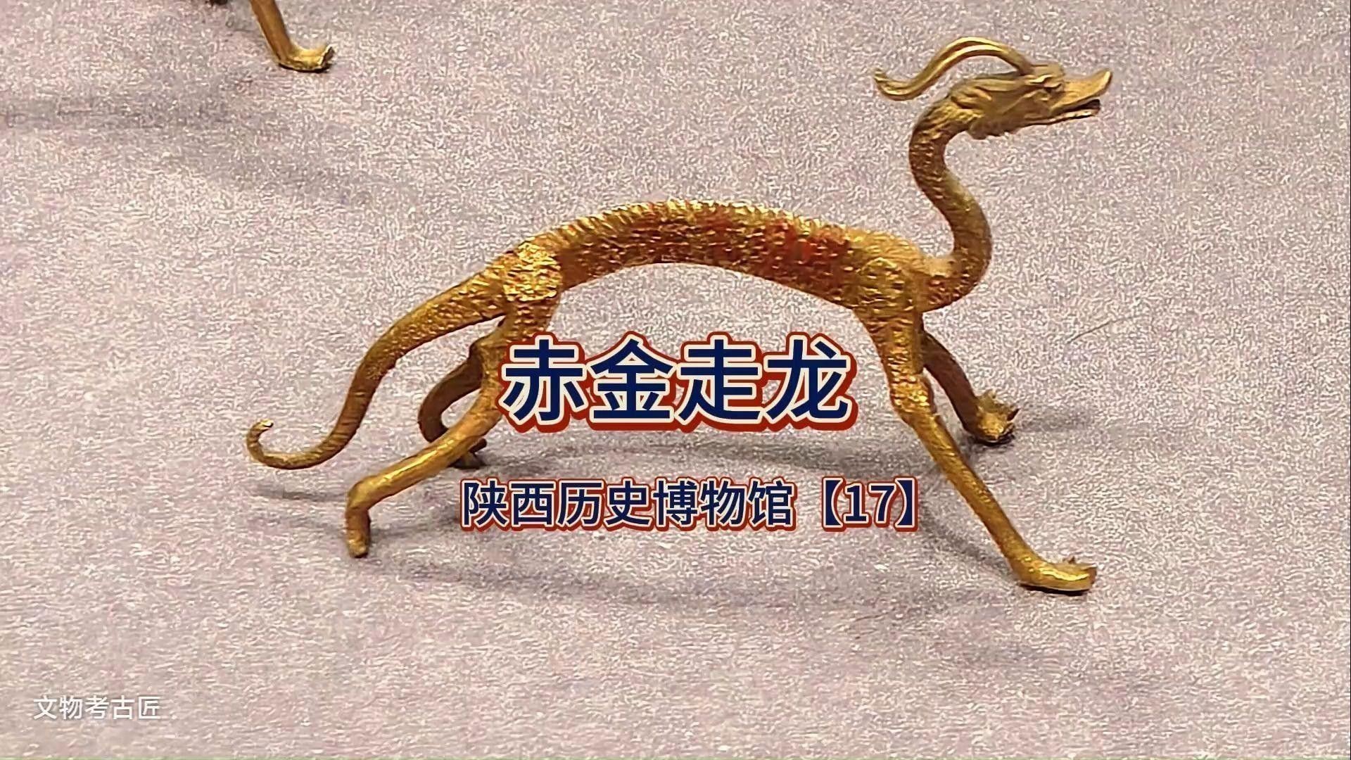 有哪些著名的金龍圖片