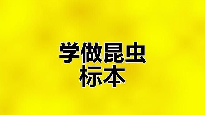 標(biāo)本制作需要哪些步驟？ 標(biāo)本制作需要哪些步驟？ 龍魚百科 第3張