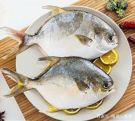 金鯧魚貴還是銀鯧魚貴