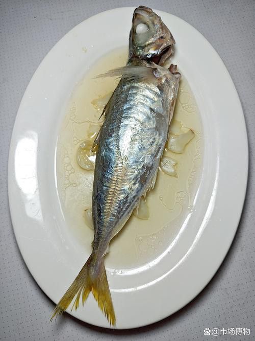 巴龍魚是什么魚圖片大全視頻 龍魚百科 第16張 巴龍魚是什么魚圖片大全視頻 巴龍魚是什么魚圖片大全視頻 龍魚百科 第16張