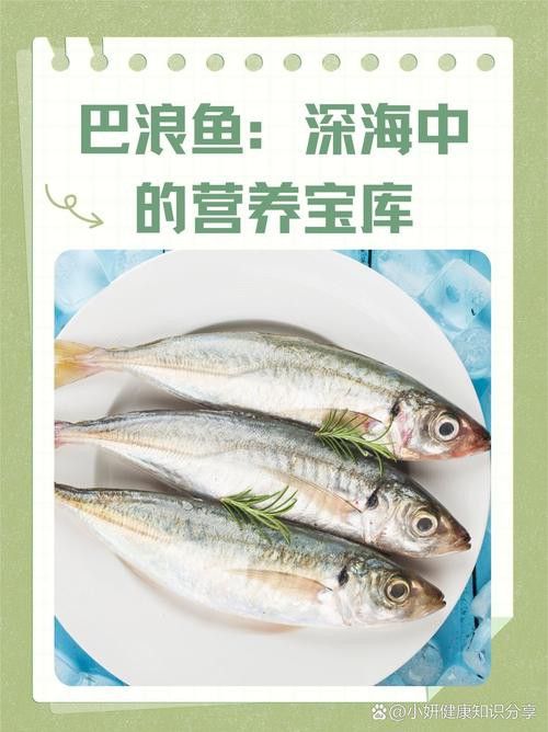 巴龍魚是什么魚圖片大全視頻 龍魚百科 第25張 巴龍魚是什么魚圖片大全視頻 巴龍魚是什么魚圖片大全視頻 龍魚百科 第25張