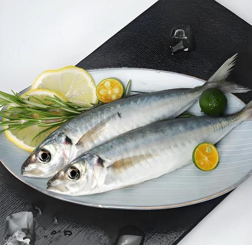 巴龍魚是什么魚圖片大全視頻 龍魚百科 第30張 巴龍魚是什么魚圖片大全視頻 巴龍魚是什么魚圖片大全視頻 龍魚百科 第30張