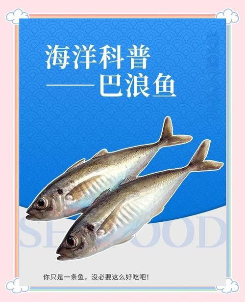 巴龍魚是什么魚圖片大全視頻 龍魚百科 第31張 巴龍魚是什么魚圖片大全視頻 巴龍魚是什么魚圖片大全視頻 龍魚百科 第31張