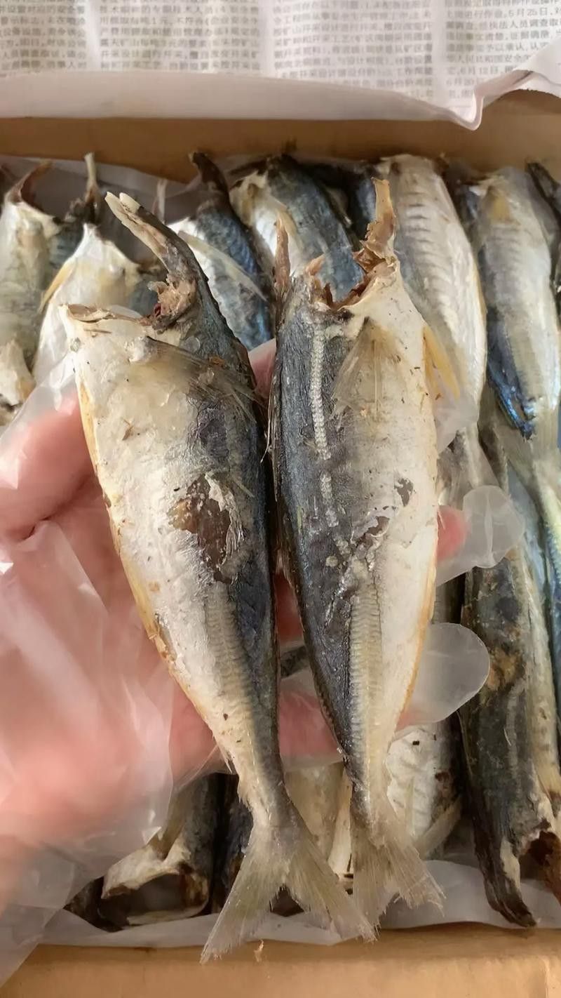 巴龍魚是什么魚圖片大全視頻 龍魚百科 第32張 巴龍魚是什么魚圖片大全視頻 巴龍魚是什么魚圖片大全視頻 龍魚百科 第32張