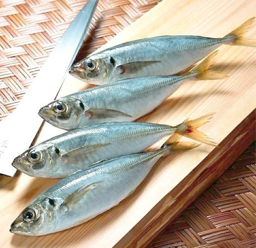 巴龍魚是什么魚圖片大全視頻 龍魚百科 第39張 巴龍魚是什么魚圖片大全視頻 巴龍魚是什么魚圖片大全視頻 龍魚百科 第39張