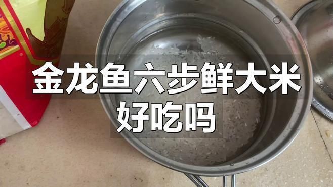 金龍魚消費者評價