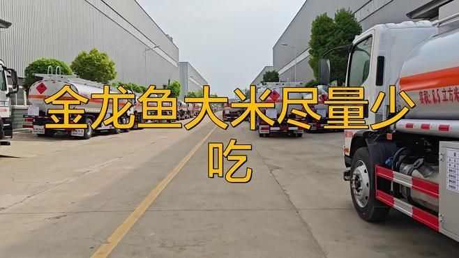 金龍魚消費者評價