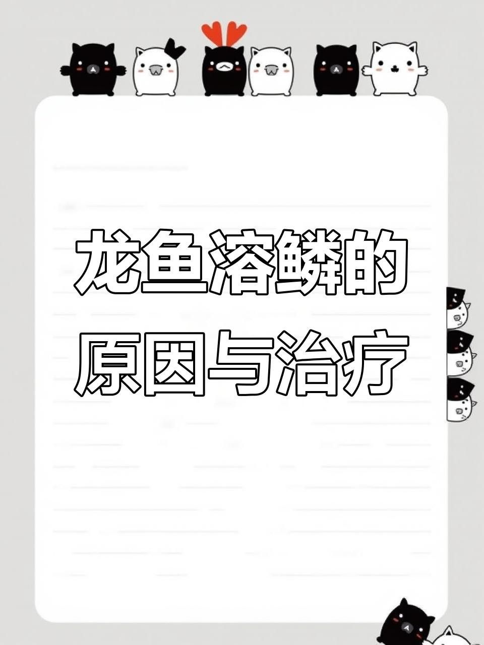 如何預防龍魚溶鱗？