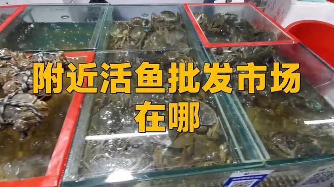 離我最近的魚批發(fā)市場
