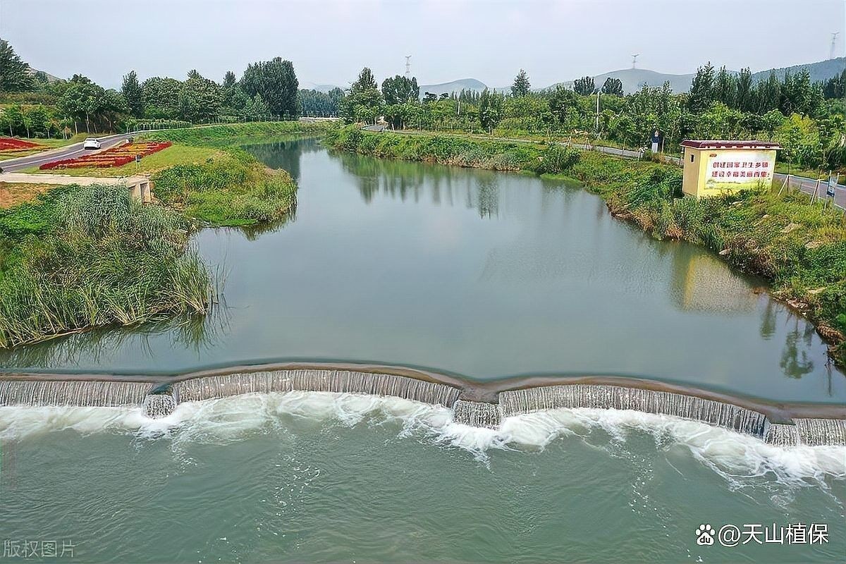 如何結合視頻教程動態觀察特征？