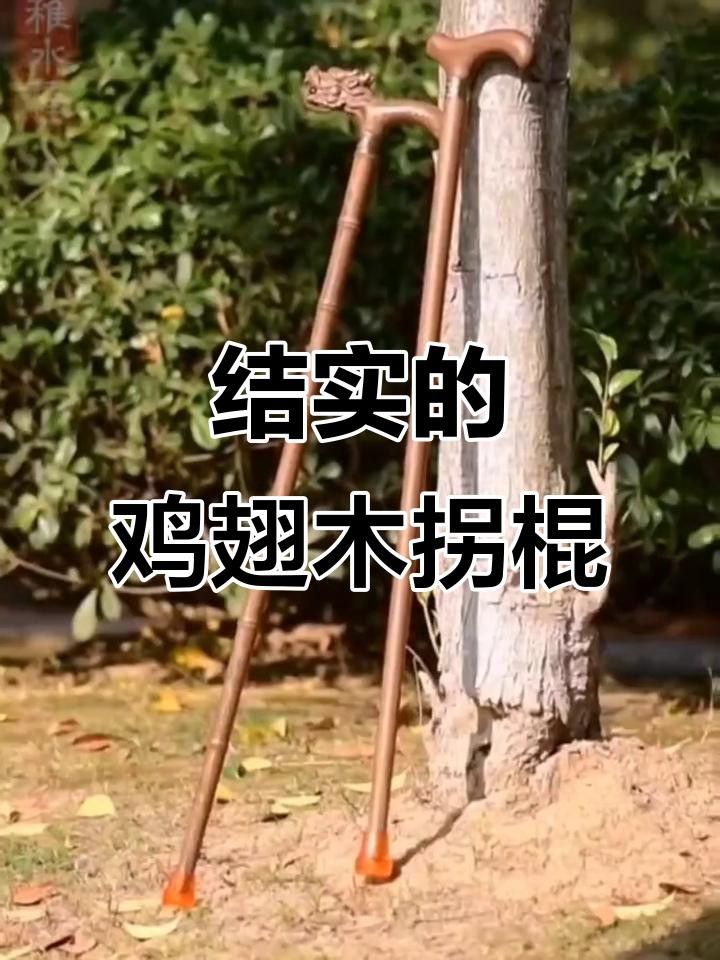 哪種材質(zhì)的龍頭拐杖最耐用？