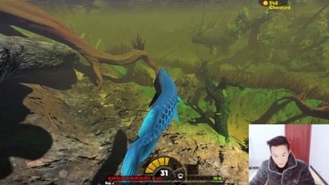 龍魚浮水面是不是缺氧：龍魚浮水面是不是缺氧怎么辦，龍魚浮出水面是缺氧嗎