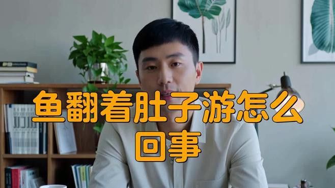 金龍魚撞缸翻肚皮