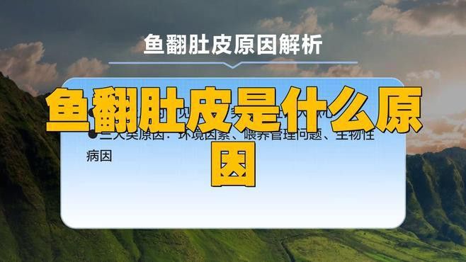 金龍魚撞缸翻肚皮