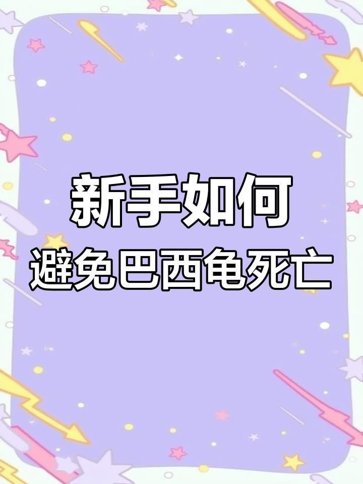 金粉巴西龜好養嗎