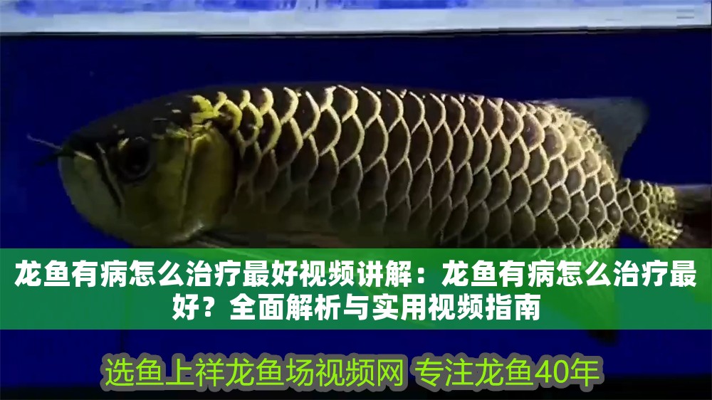 龍魚有病怎么治療最好視頻講解：龍魚有病怎么治療最好？全面解析與實用視頻指南