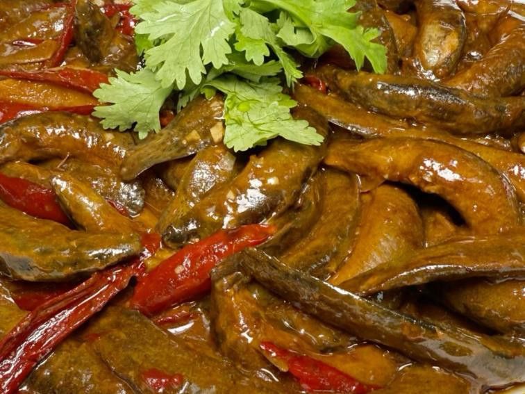 推薦一些龍鰍魚的食譜