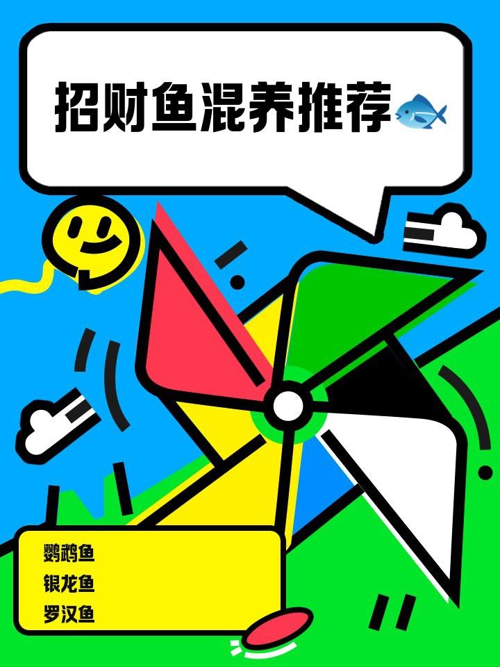 發財魚和銀龍魚混養