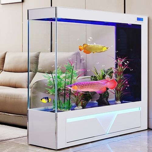 如何選擇適合小戶型的龍魚缸？