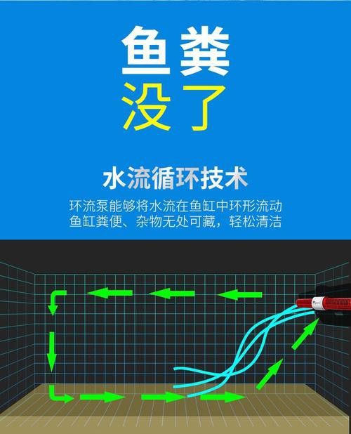 如何減少紅龍魚混養(yǎng)中的爭斗？