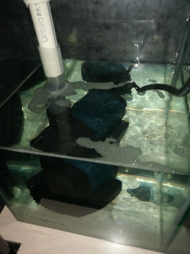龍魚(yú)之巔論壇濾材倉(cāng)有泡沫