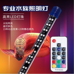 金龍魚用三基色燈還是白光燈好看些：如何選擇適合金龍魚的燈