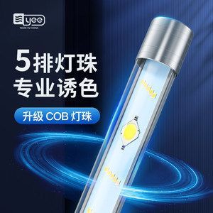 金龍魚用三基色燈還是白光燈好看些：如何選擇適合金龍魚的燈