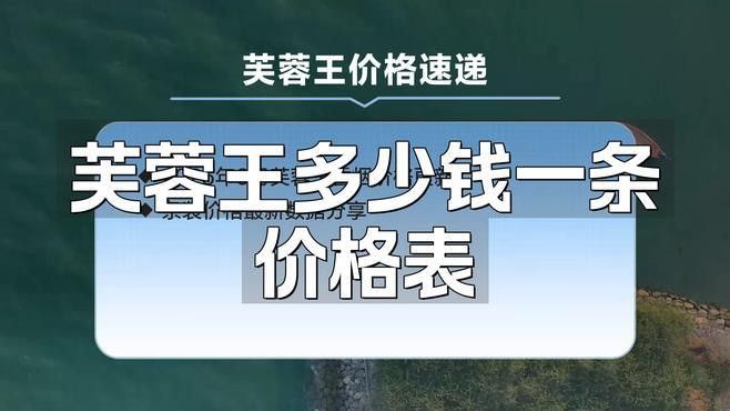 短身福龍王的市場價格是多少？