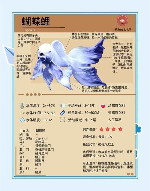 龍魚和蝴蝶鯉哪個好養(yǎng)