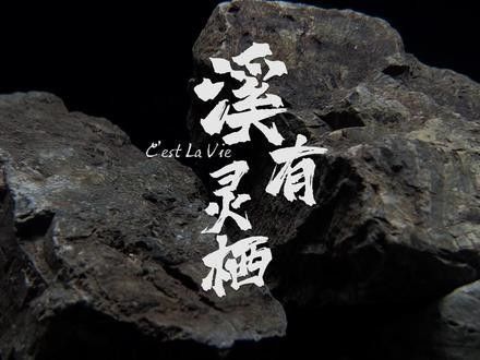 雷龍魚缸造景視頻欣賞圖