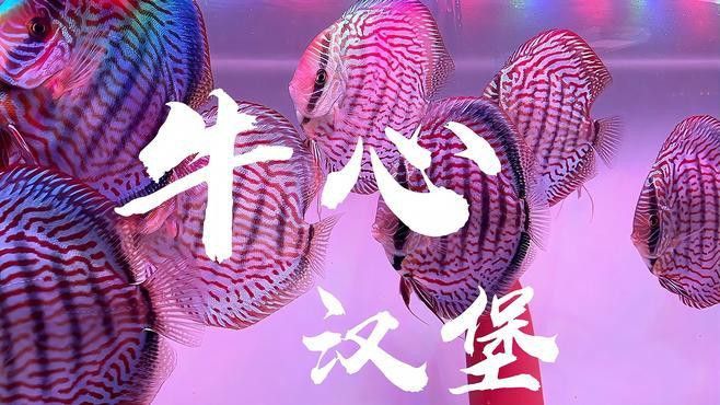 牛心漢堡的保存方法有哪些