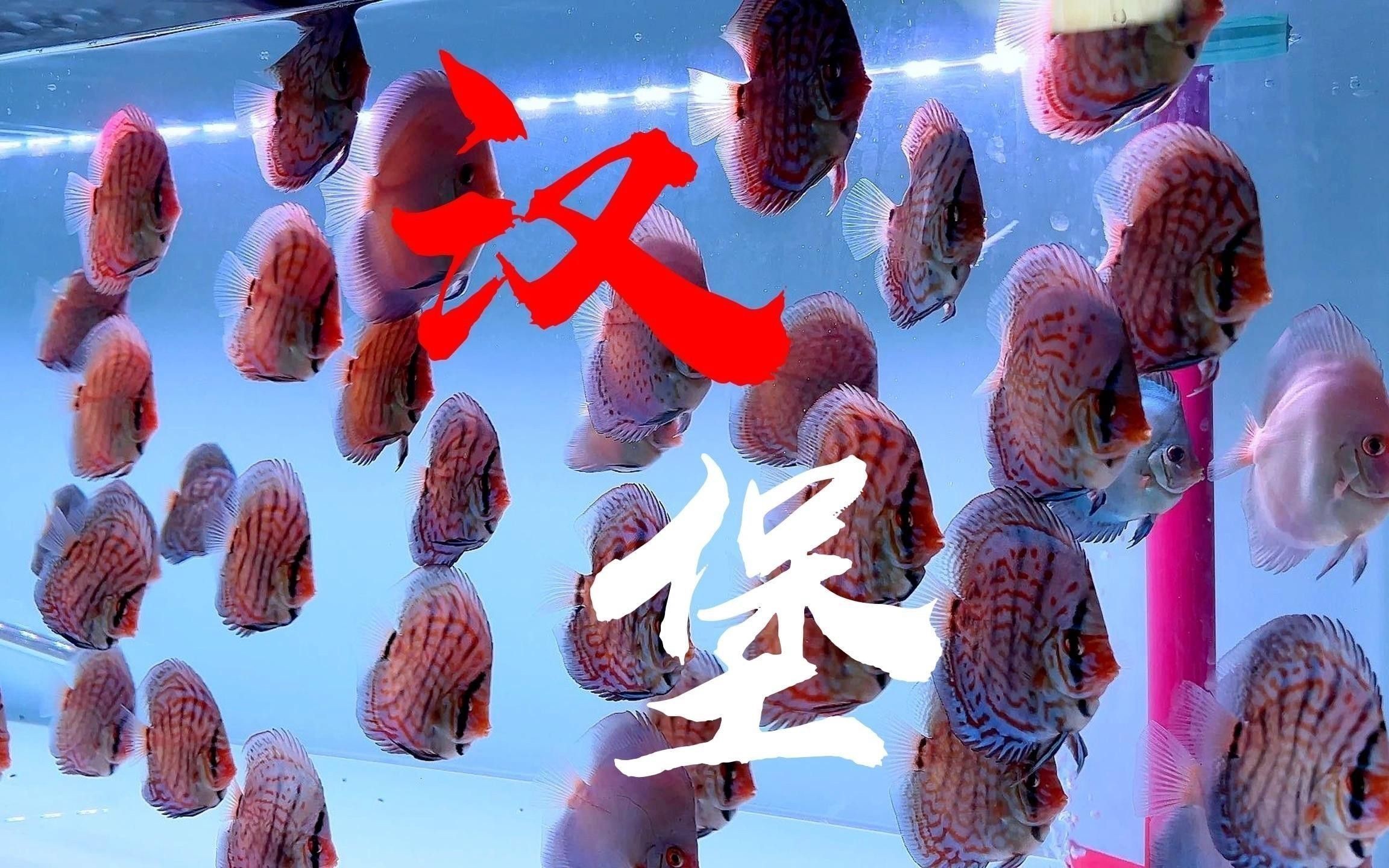 牛心漢堡的保存方法有哪些