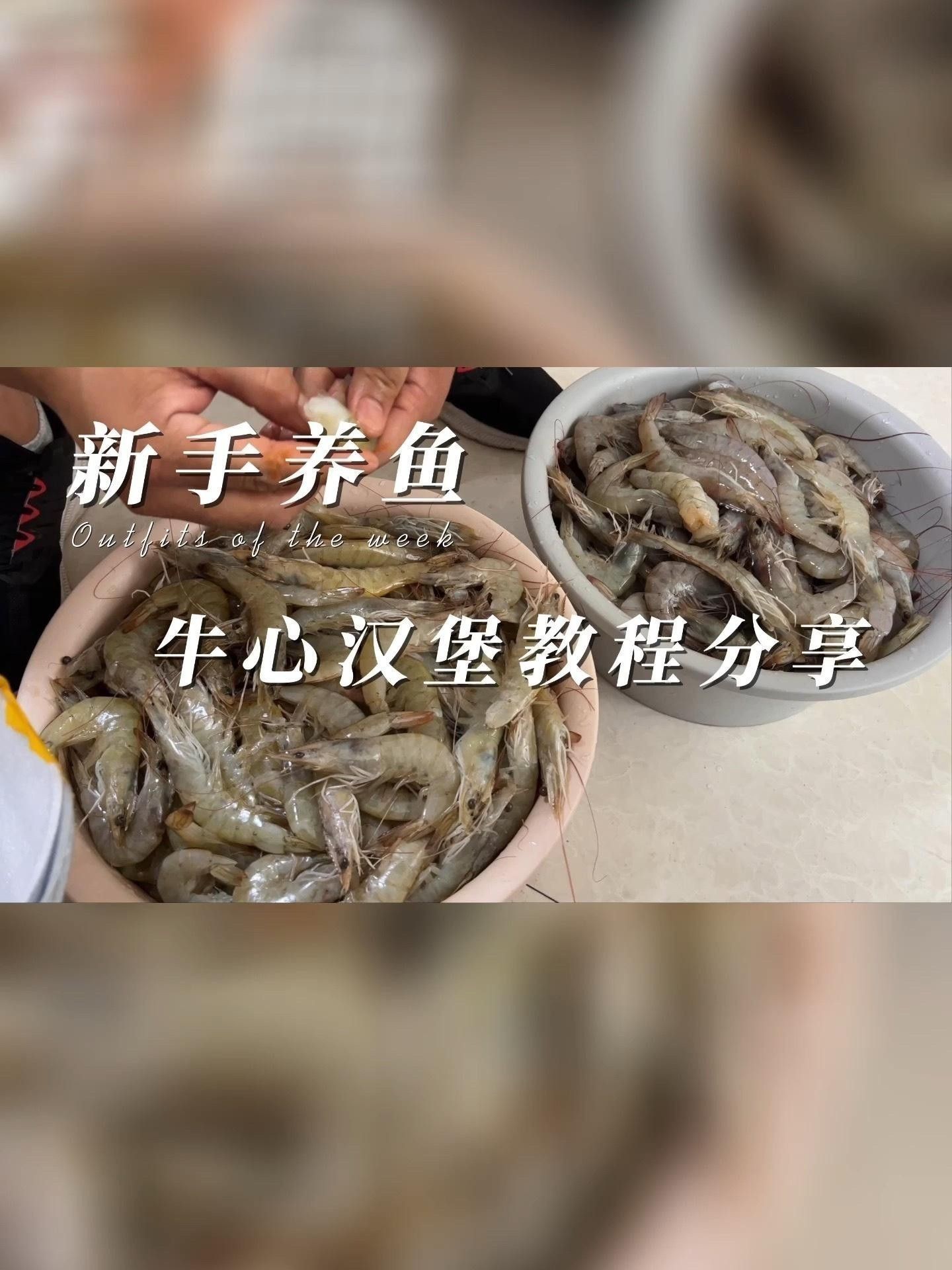 牛心漢堡的保存方法有哪些