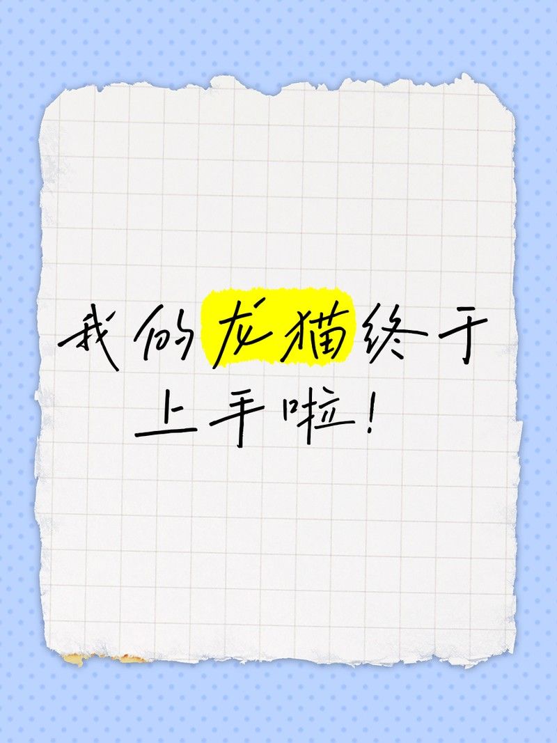 龍貓多久訓練成功