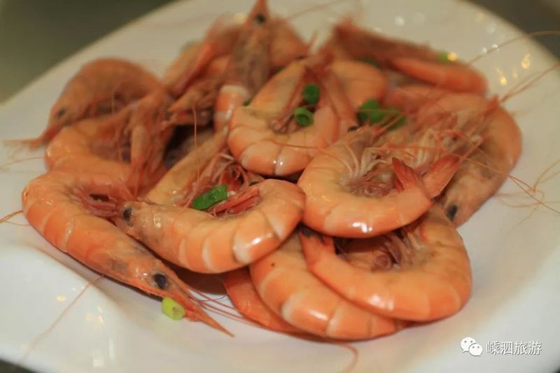 舟山龍魚是什么魚種類