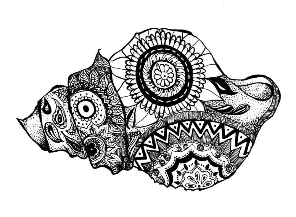 金龍魚黑白畫怎么畫：金龍魚黑白畫怎么畫怎么畫金龍魚黑白畫怎么畫