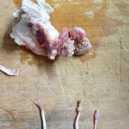 魚肚子里有白色線蟲