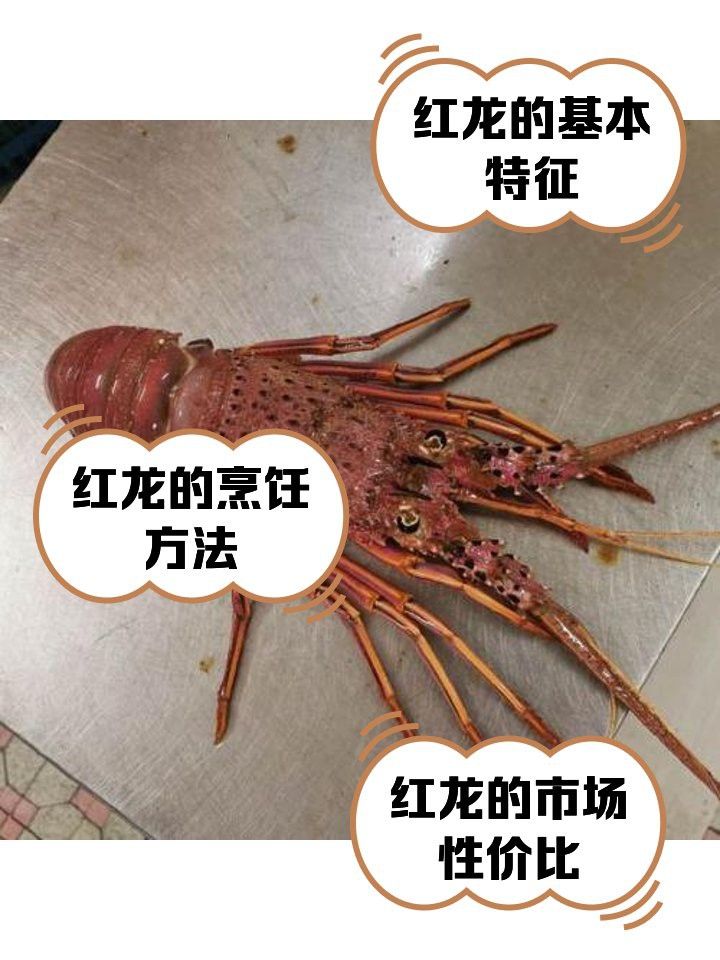 紅龍純血還有哪些烹飪方法？
