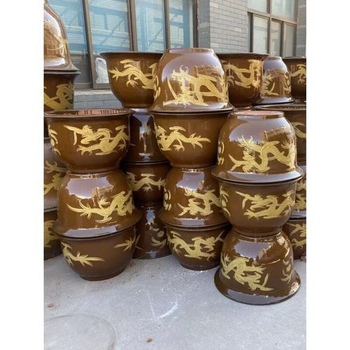 能推薦幾款90cm龍缸嗎？