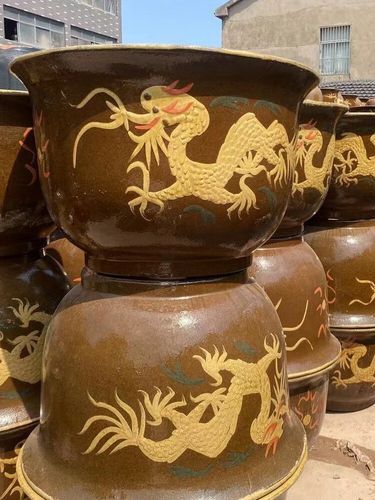 能推薦幾款90cm龍缸嗎？