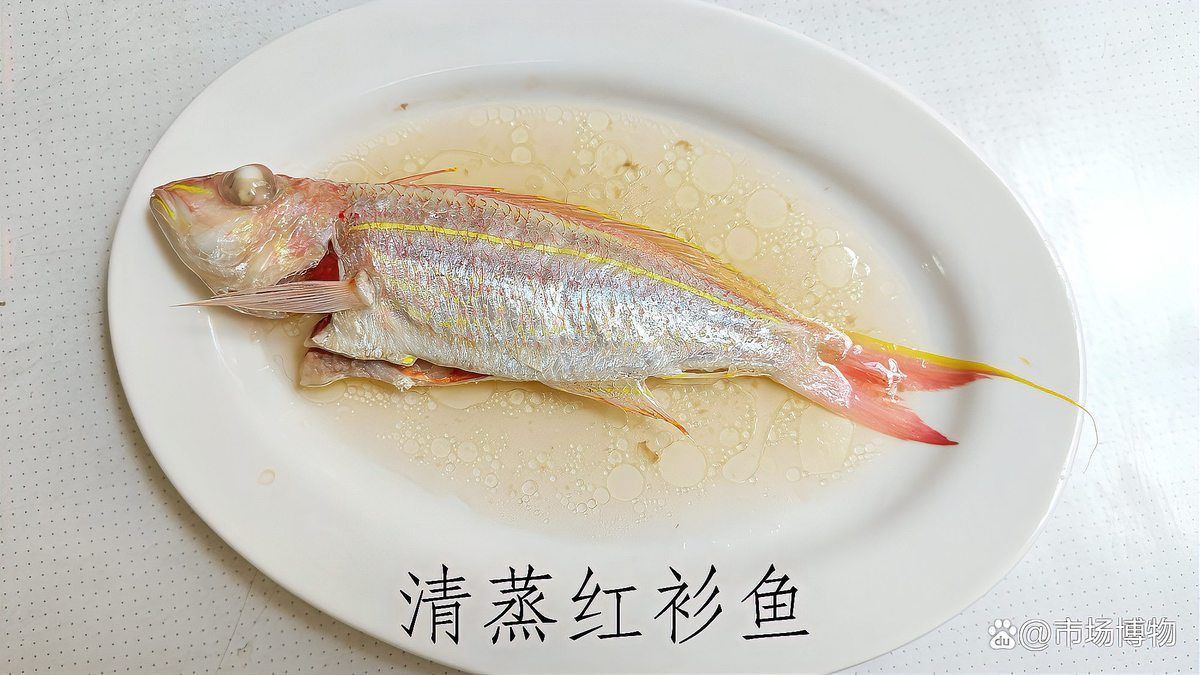 金線魚屬于什么檔次