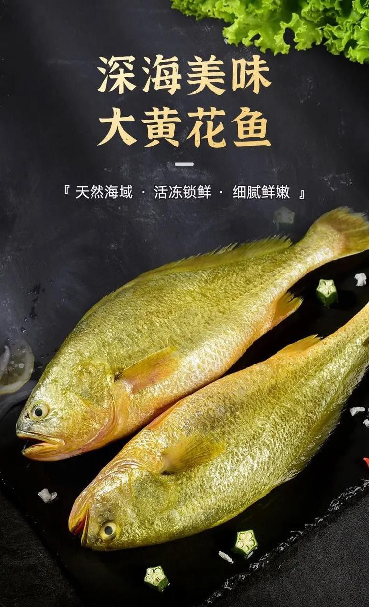 像金龍魚一樣的海魚是什么魚圖片