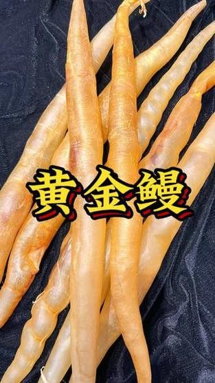 像金龍魚一樣的海魚是什么魚圖片