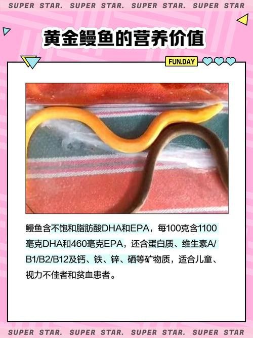 像金龍魚一樣的海魚是什么魚圖片