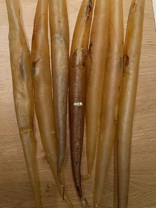 像金龍魚一樣的海魚是什么魚圖片